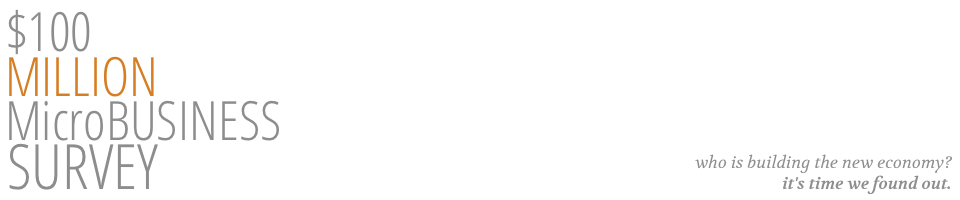 $100 Million Microbusiness Survey